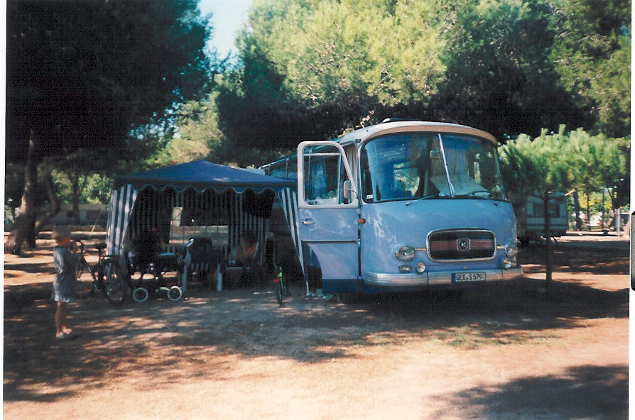 Bus3.jpg