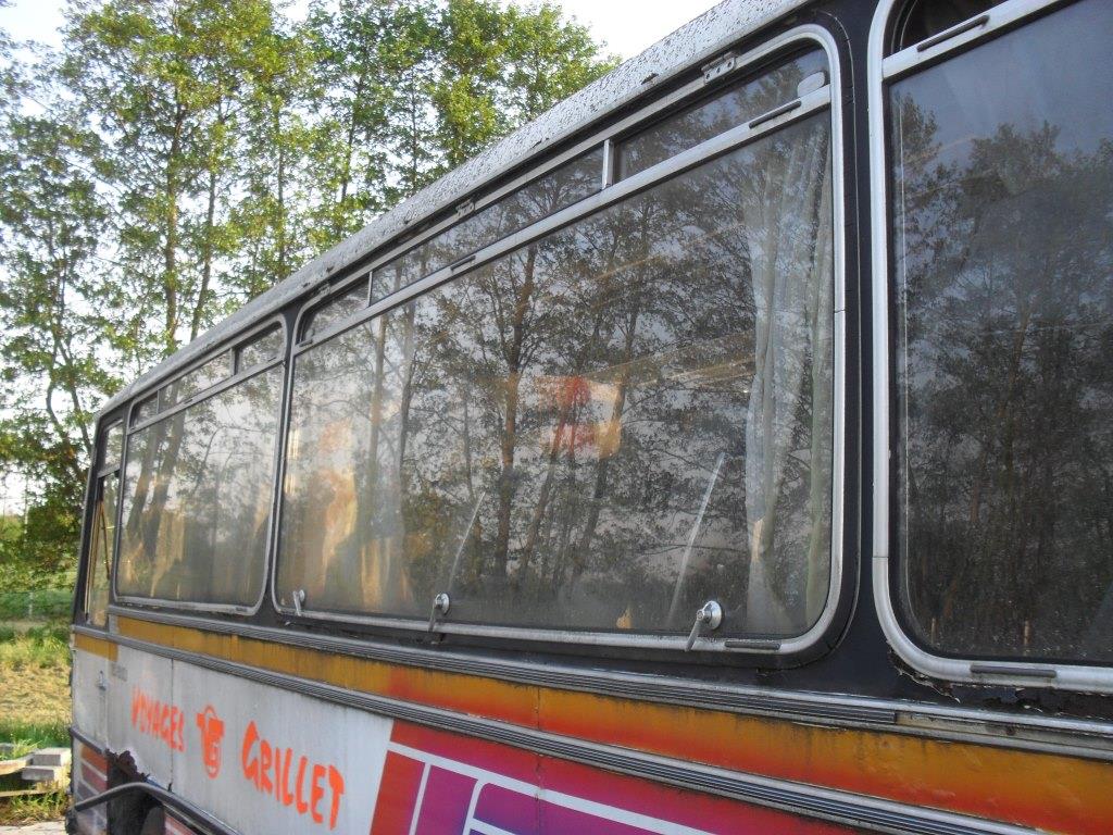SDC14481.JPG